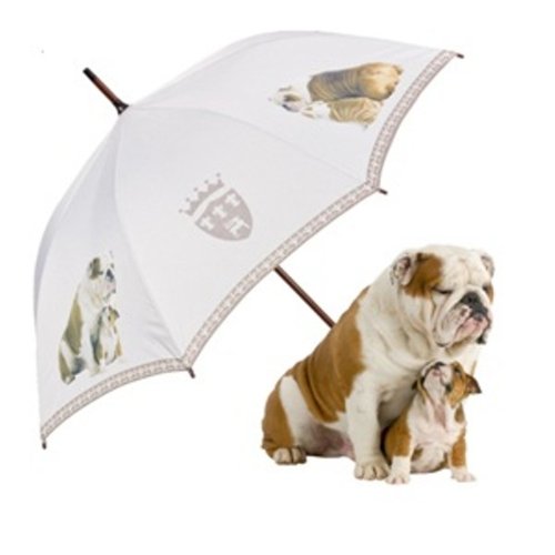 Bulldoggen-Regenschirm