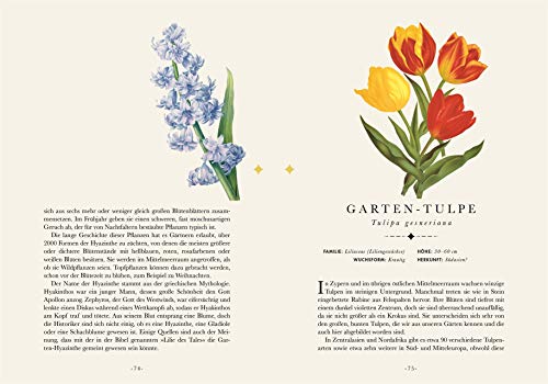 Papeterie-Blumenbuch