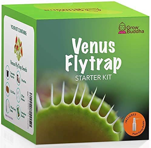 Venusfliegenfalle