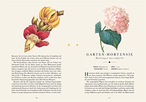 Papeterie-Blumenbuch