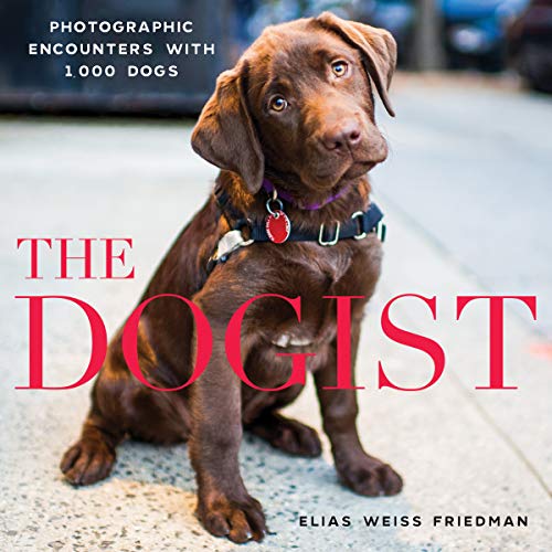 Geschenkbuch: The Dogist