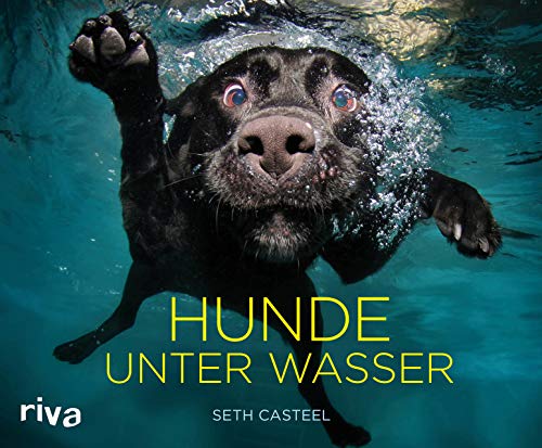 Geschenkbuch: Hunde unter Wasser