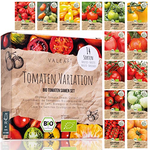 Bio-Saatgut Tomaten